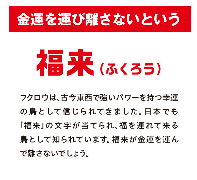 金運を運び離さないというフクロウ