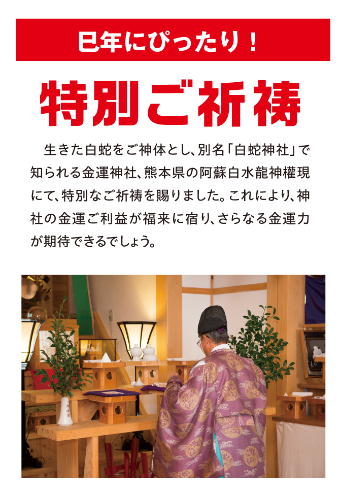阿蘇白水龍神權現にてご祈祷済み