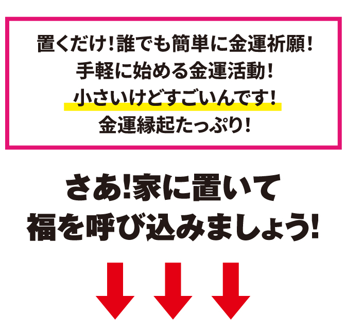 さあ、家に置いて金運を呼び込みましょう