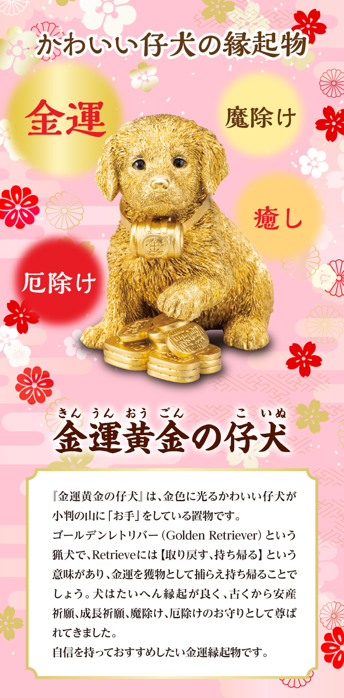 かわいい仔犬が持ち帰るという金運力！