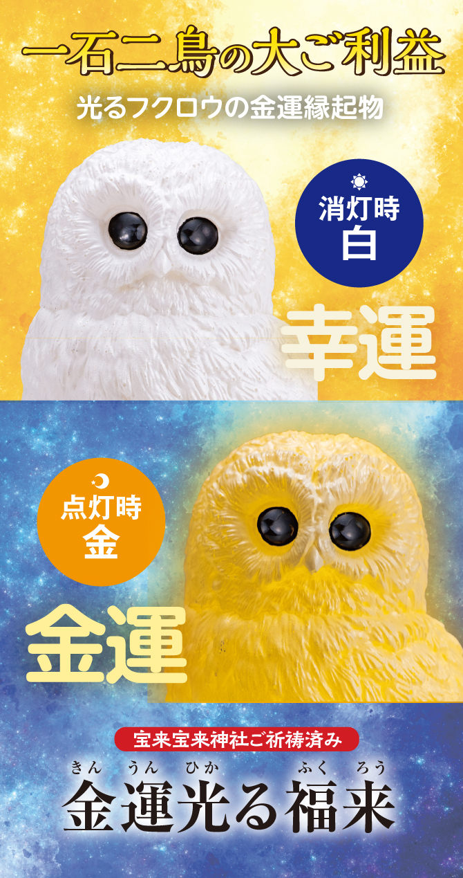 一石二鳥の大ご利益！光るフクロウの金運縁起物