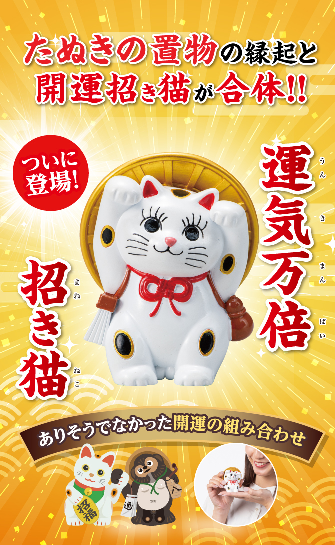 たぬきの置物の縁起と開運招き猫が合体！『運気万倍招き猫』