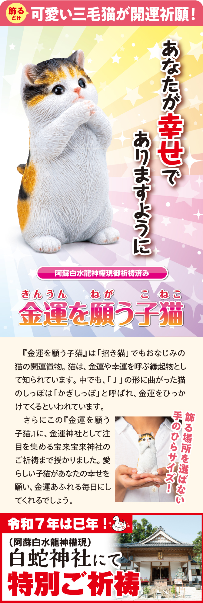 可愛い三毛猫が金運祈願！阿蘇白水龍神權でご祈祷済み！「金運を願う子猫」