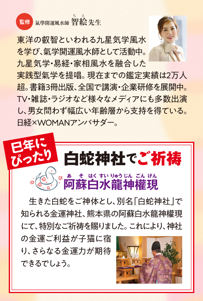 阿蘇白水龍神權でご祈祷済み！