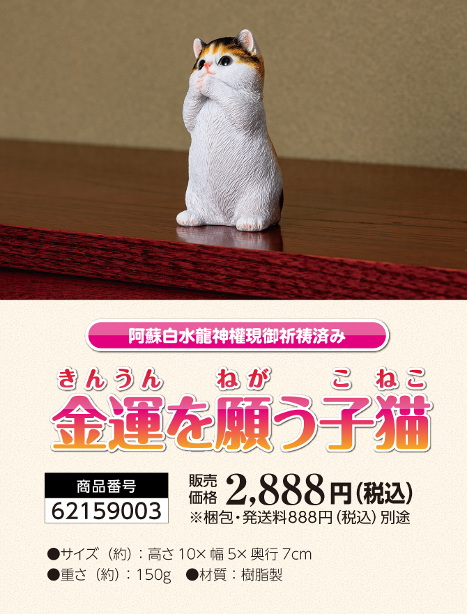 可愛い三毛猫が金運祈願！阿蘇白水龍神權でご祈祷済み！「金運を願う子猫」