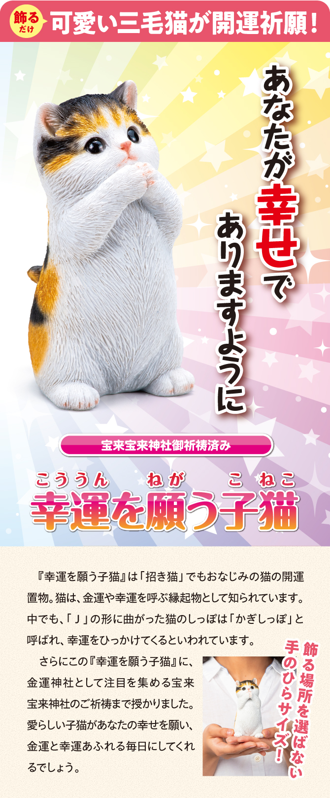 可愛い三毛猫が金運祈願！宝来宝来神社でご祈祷済み！「幸運を願う子猫」