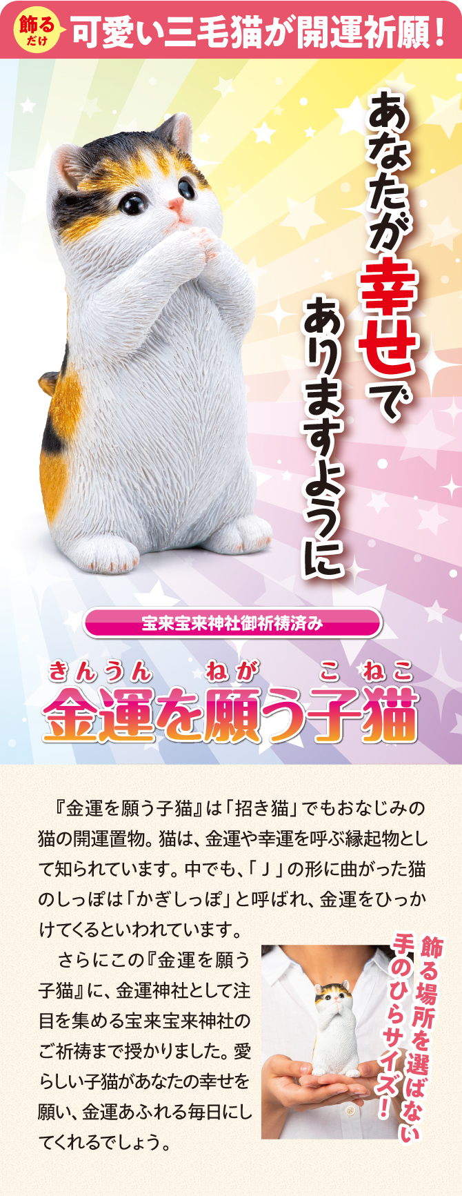 可愛い三毛猫が金運祈願！宝来宝来神社でご祈祷済み！「金運を願う子猫」