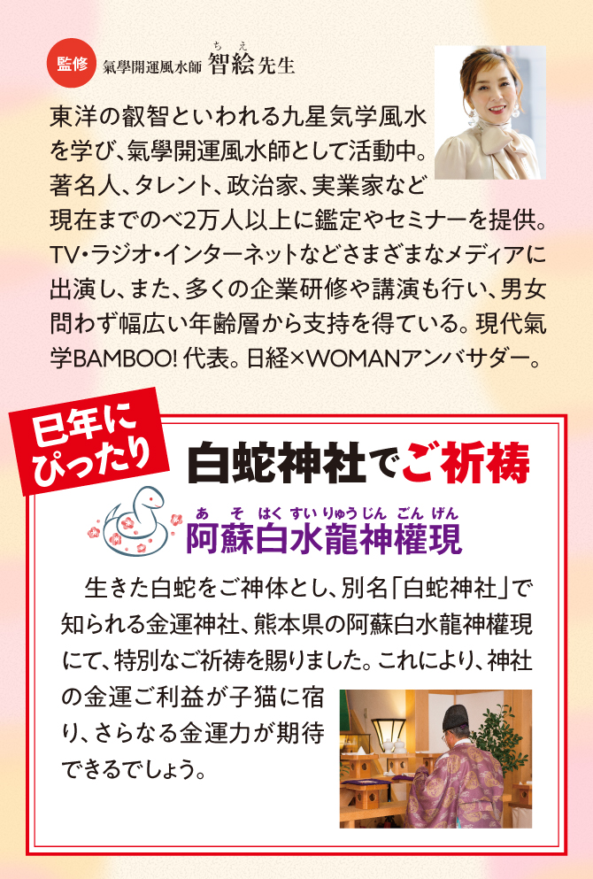 阿蘇白水龍神權でご祈祷済み！