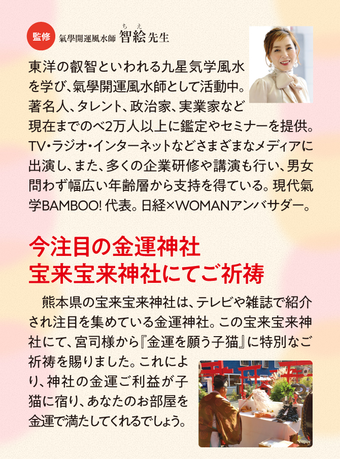 宝来宝来神社でご祈祷済み！