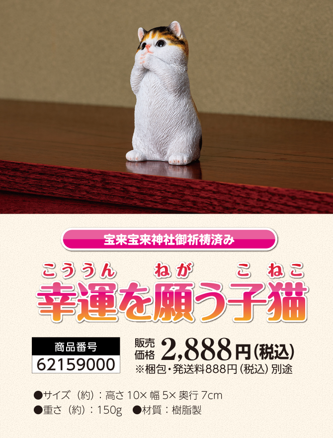 可愛い三毛猫が金運祈願！宝来宝来神社でご祈祷済み！「幸運を願う子猫」