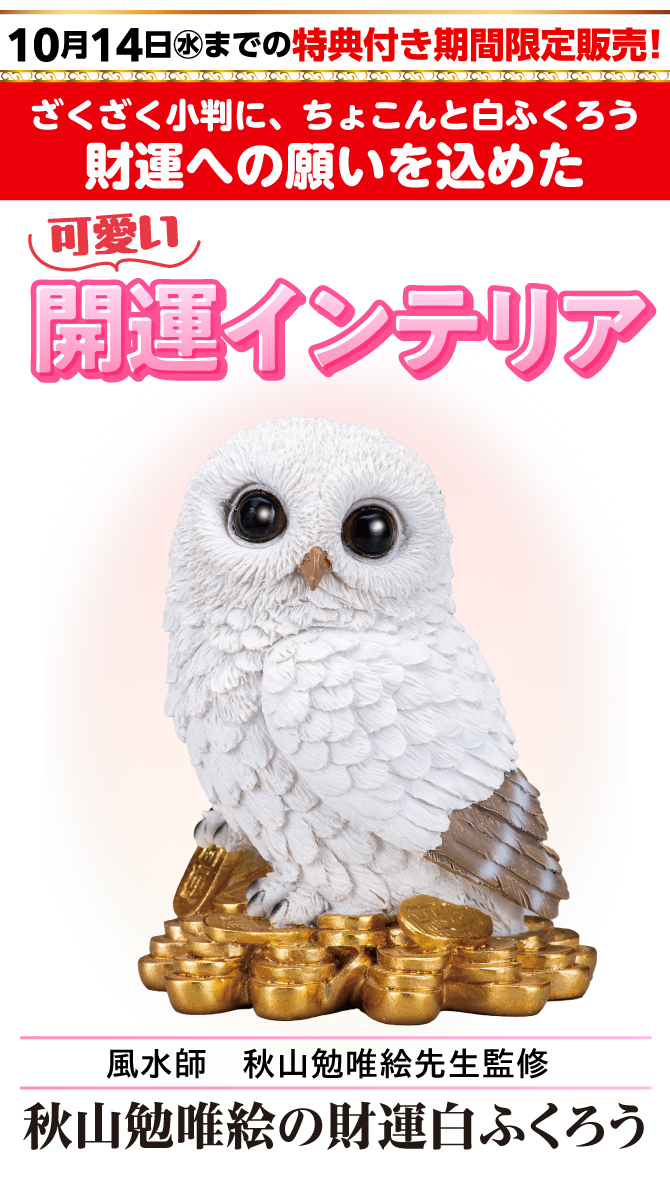 10月14日(水)までの限定販売！ざくざく小判にちょこんと白ふくろう。財運への願いを込めた可愛い開運インテリア『秋山勉唯絵の財運白ふくろう』