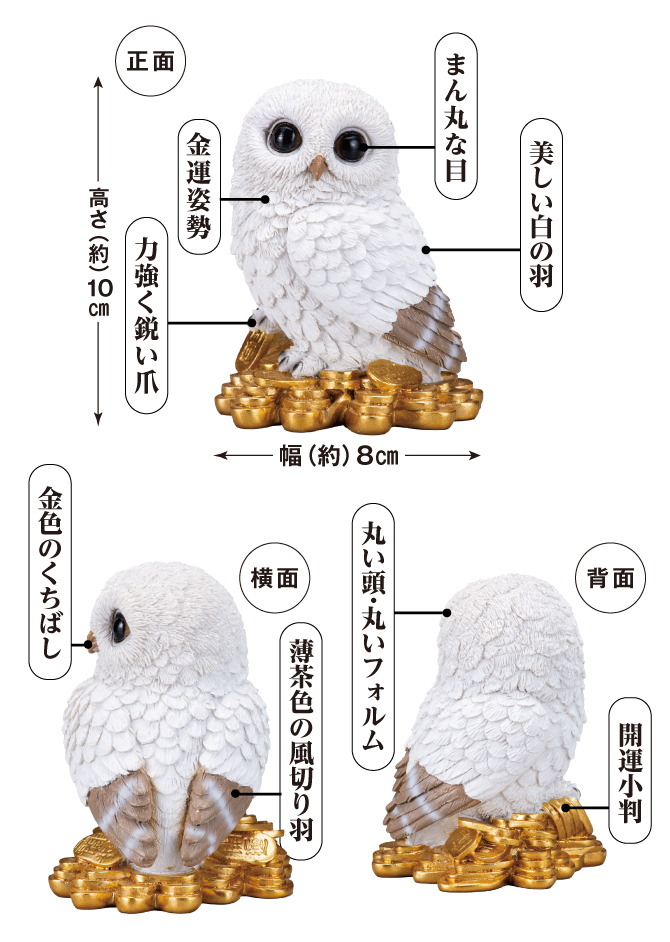 財運を見逃さない大きな目、財宝を離さない力強い爪、金運を貯め込むふっくらとした羽