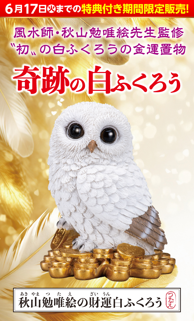 6月17日(火)までの限定販売！風水師秋山勉唯絵先生監修“初”の白ふくろうの金運置物『秋山勉唯絵の財運白ふくろう』