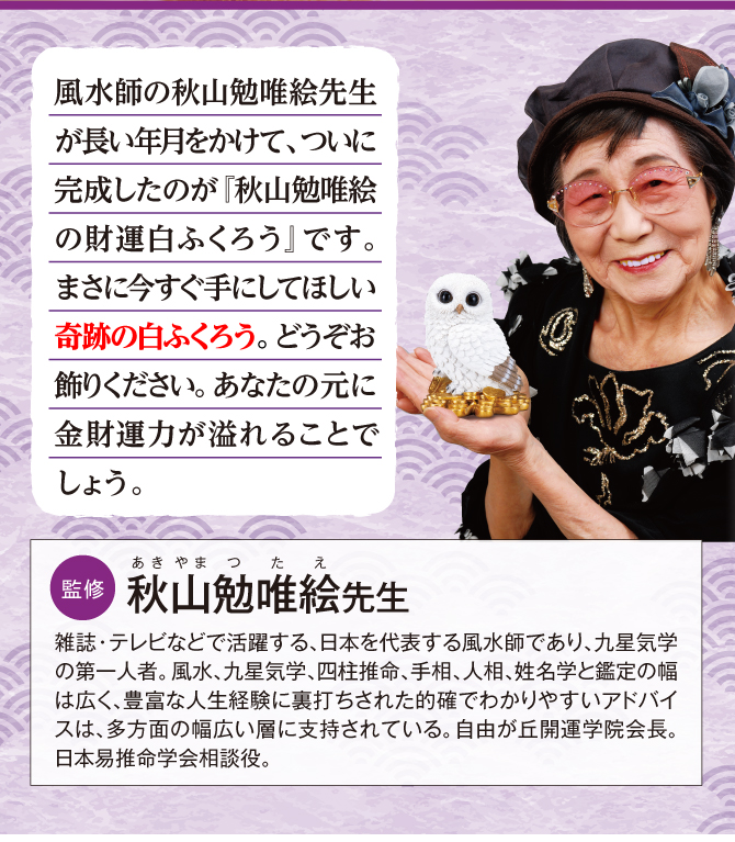 まさに今すぐ手にしてほしい奇跡の白ふくろう
