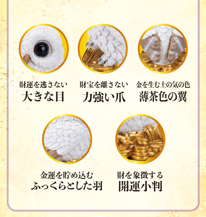 財運を見逃さない大きな目、財宝を離さない力強い爪、金運を貯め込むふっくらとした羽