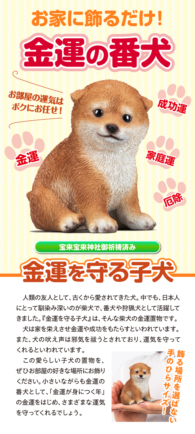 おうちに飾るだけ！金運の番犬！宝来宝来神社でご祈祷済み！「幸運を守る子犬」