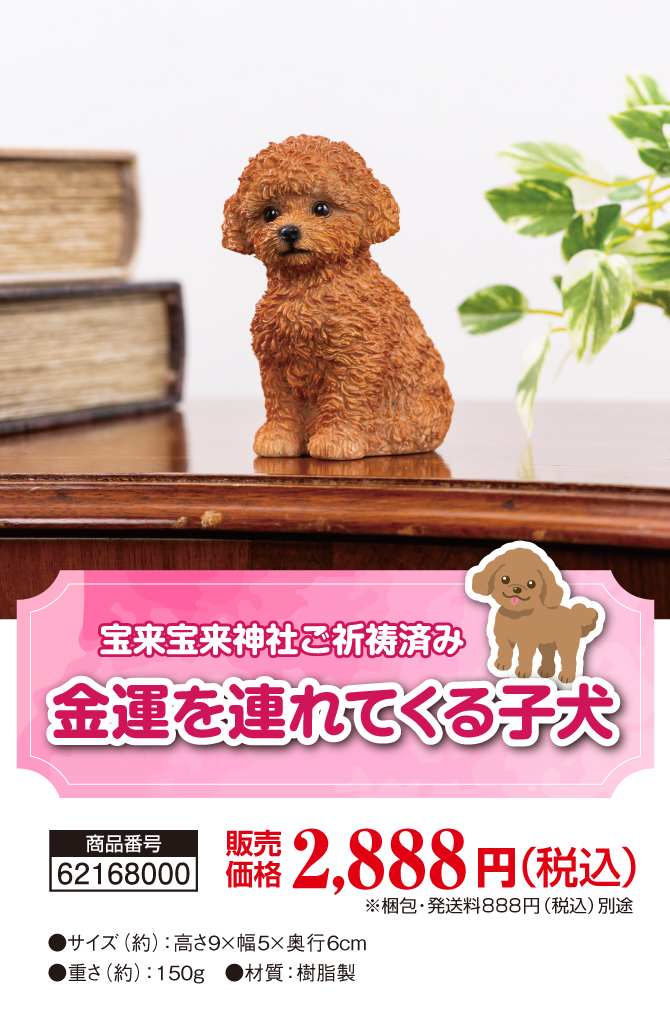 おうちに飾るだけ！金運の番犬！宝来宝来神社でご祈祷済み！「金運を連れてくる子犬」