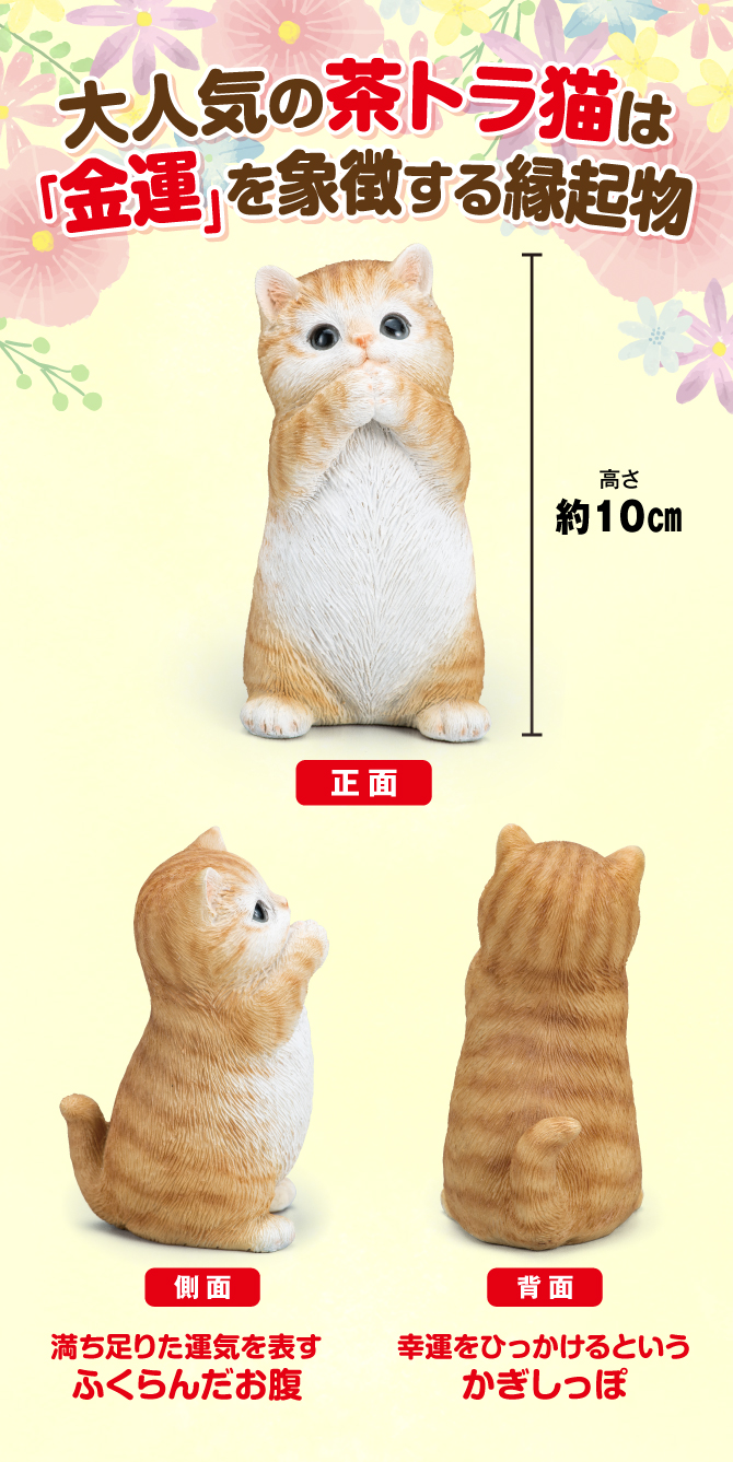 大人気の茶トラ猫は金運を象徴する縁起物