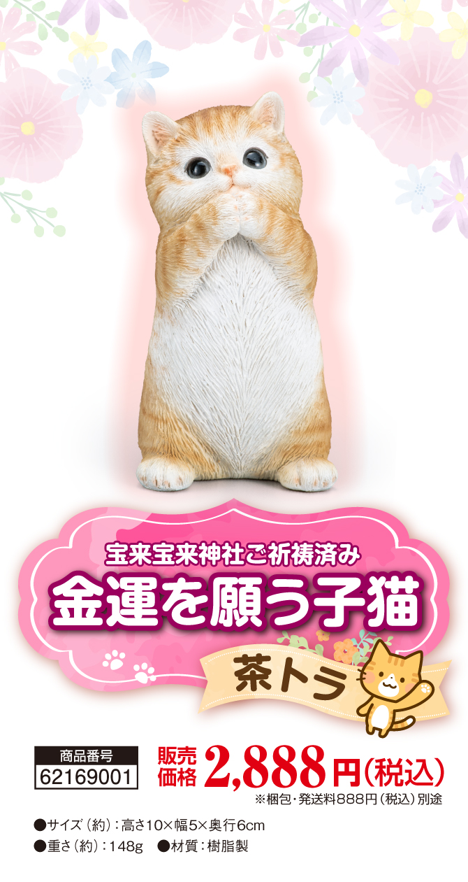 お部屋に飾るだけ！金運の子猫。宝来宝来神社でご祈祷済み！大人気の茶トラ猫「金運を願う子猫(茶トラ)」