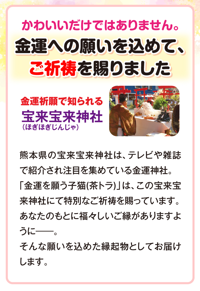 可愛いだけではありません。金運への願いを込めて、ご祈祷を賜りました。金運祈願で知られる「宝来宝来神社」にてご祈祷済み。
