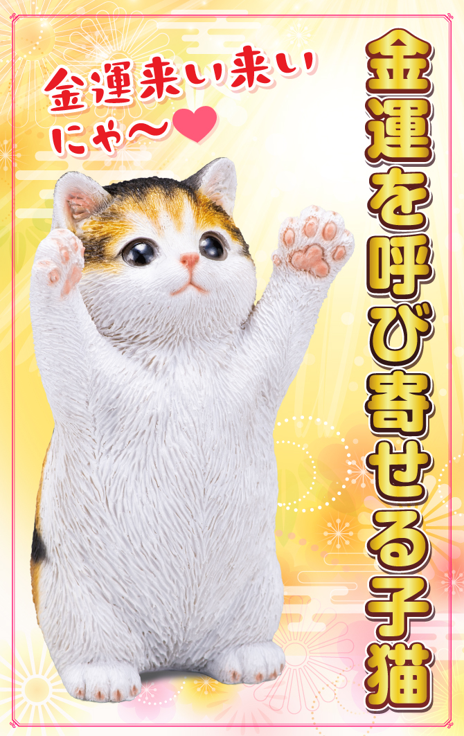 可愛い三毛猫が金運祈願！宝来宝来神社でご祈祷済み！「金運を呼び寄せる子猫」