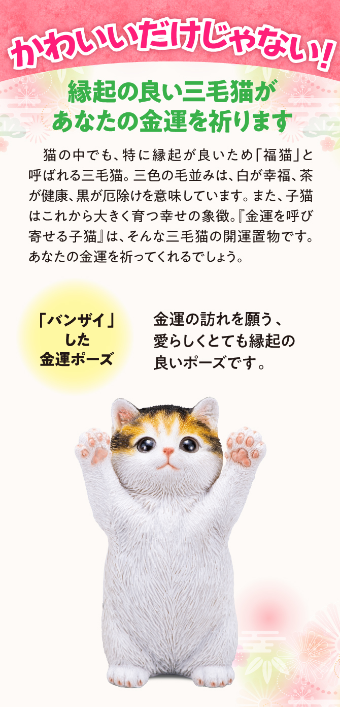 あなたを見つめる愛らしい瞳・幸せを願って合わせた手・満ち足りた運気を表すふくらんだお腹