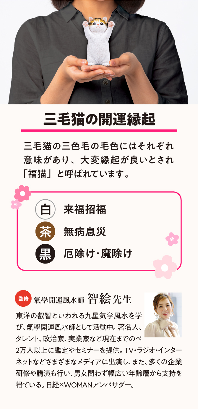 三毛猫の三色毛の毛色にはそれぞれ意味があり、大変縁起が良いとされています。