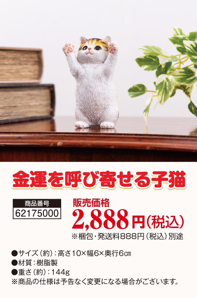 可愛い三毛猫が金運祈願！宝来宝来神社でご祈祷済み！「金運を呼び寄せる子猫」