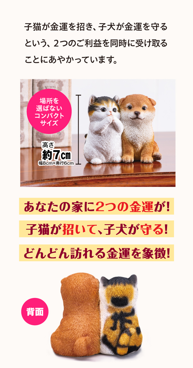 あなたの家に2つの金運が！子猫が招いて、子犬が守る。どんどん訪れる金運を象徴！