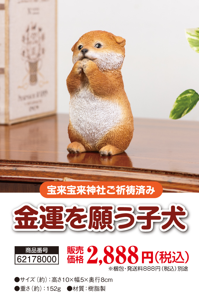 かわいい子犬があなたのかわりに金運を願う！宝来宝来神社でご祈祷済み！「金運を願う子犬」