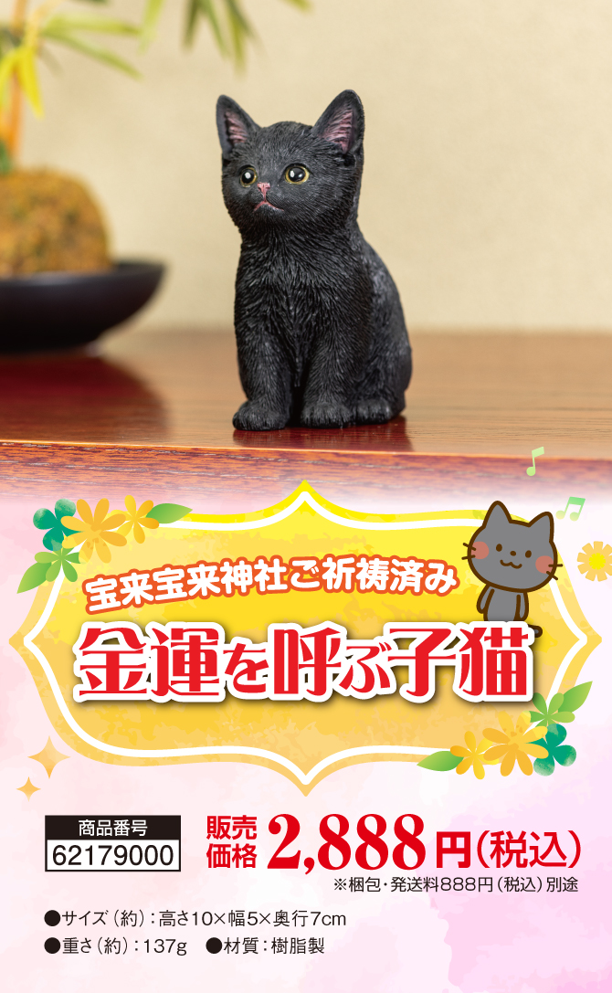 お部屋に飾るだけ！金運の黒猫。宝来宝来神社でご祈祷済み！「金運を呼ぶ子猫」