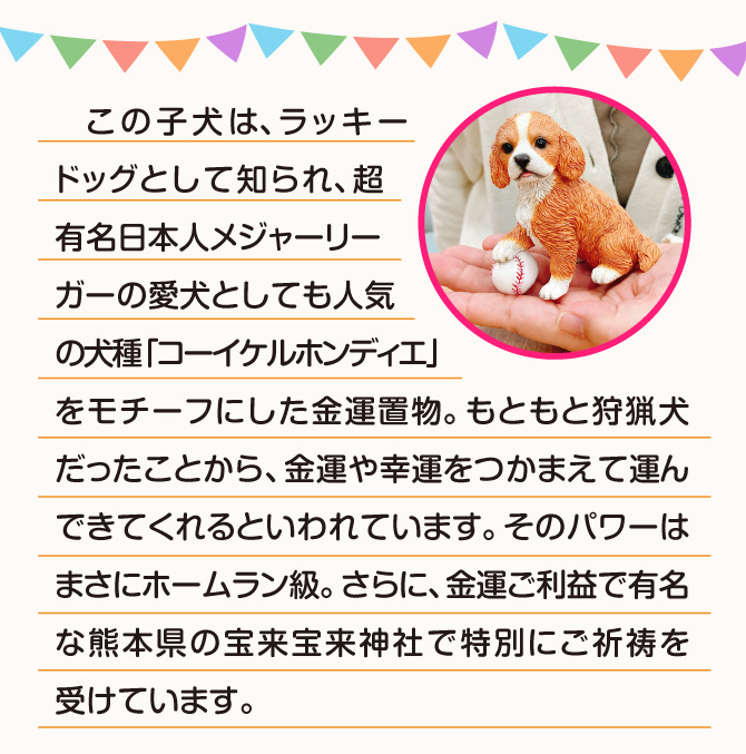 超有名日本人メジャーリーガーの愛犬としても人気の犬種「コーイケルホンディエ」をモチーフにした金運置物。