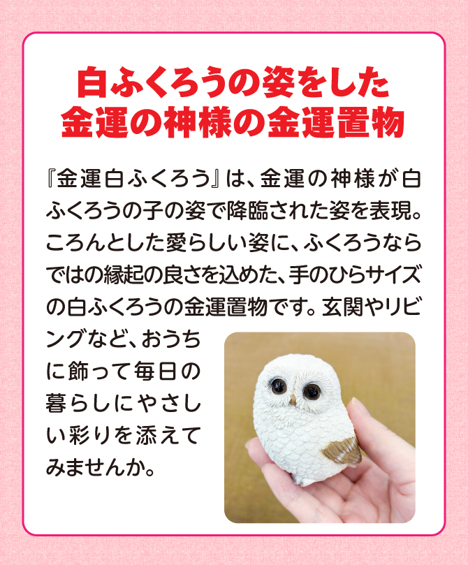 金運の神様が白ふくろうの子の姿で降臨された姿を表現。ころんとした愛らしい姿に、ふくろうならではの縁起の良さを込めた手のひらサイズの白ふくろうの金運置物。