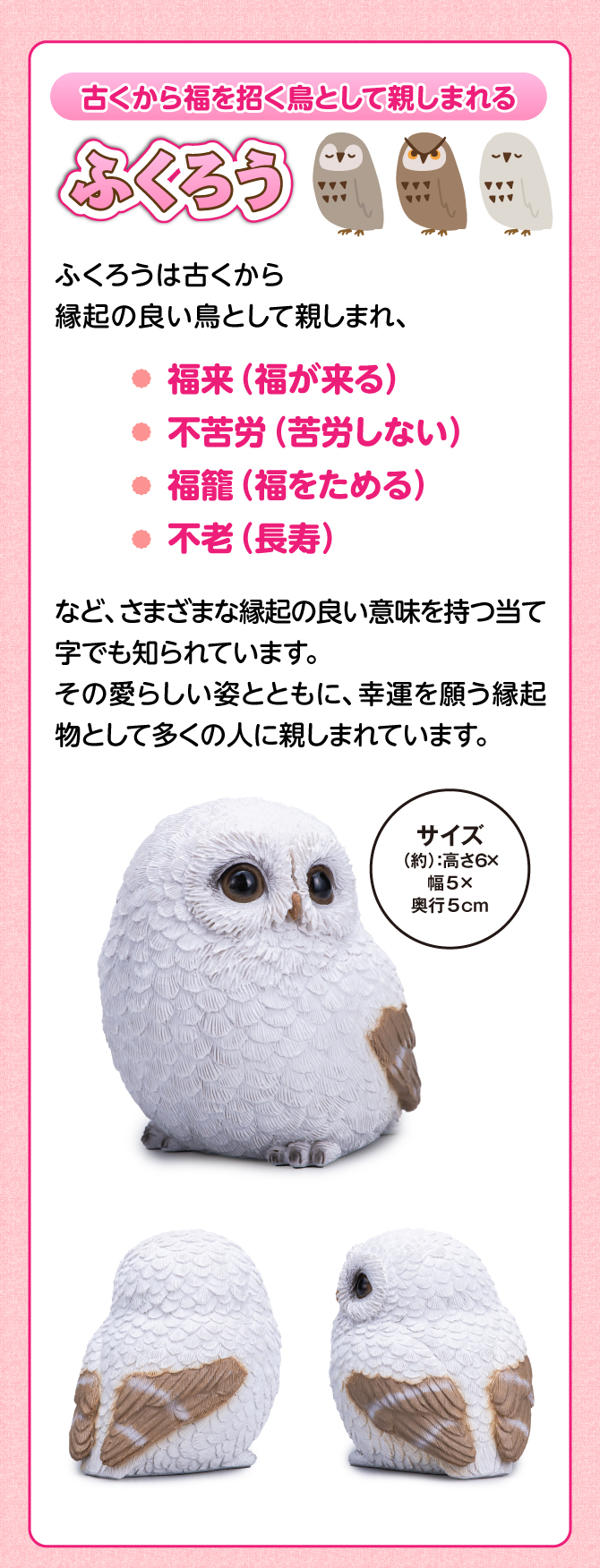 ふくろうは古くから縁起の良い鳥として親しまれ、福来（福が来る）、不苦労（苦労しない）、福籠（福をためる）、不老（長寿）などの縁起の良い当て字でも知られています。