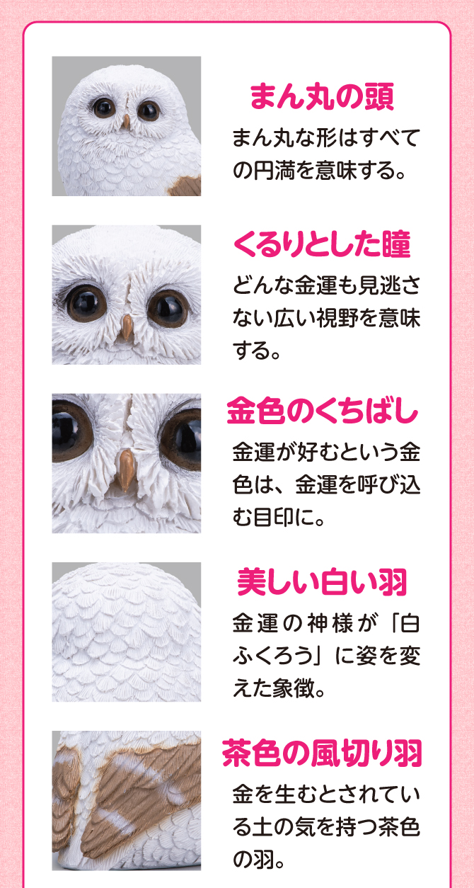 真ん丸の頭、くるりとした瞳、金色のくちばし、美しい白い羽、茶色の風切り羽
