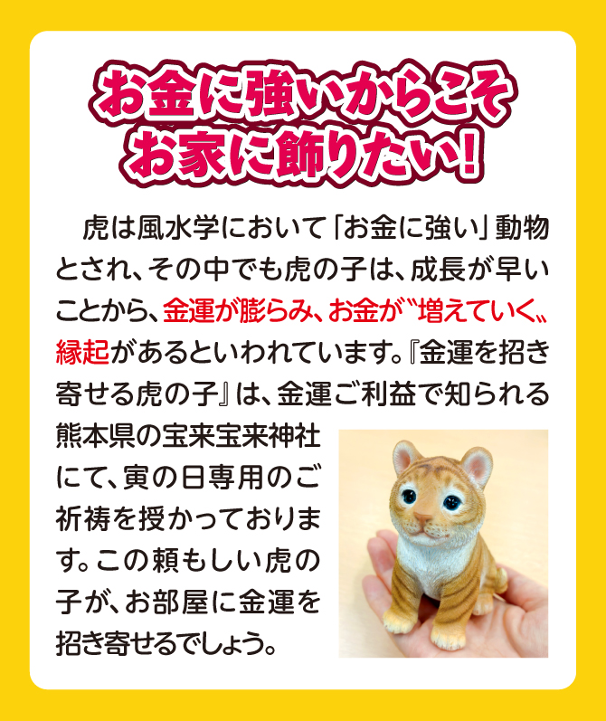 お金に強いからこそ、お家に飾りたい。虎は風水学において「お金に強い動物」とされ、その中でも虎の子は成長が早いことから、金運が膨らみお金が増えていく縁起があるとされています。