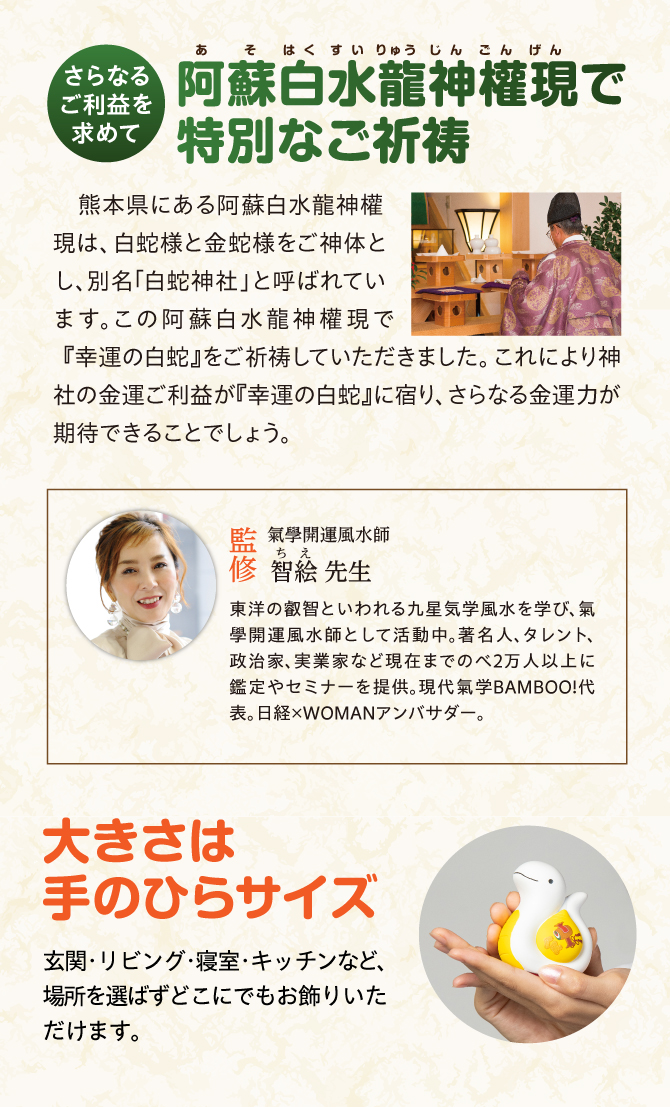 阿蘇白水龍神權現でにてご祈祷済み！大きさは手のひらサイズ