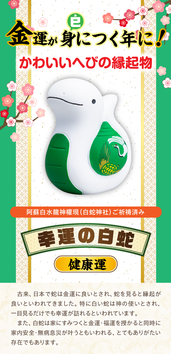 金運が身(巳)につく年に！かわいいへびの縁起物！阿蘇白水龍神權現でにてご祈祷済み！「幸運の白蛇（健康運）」