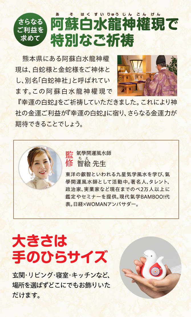 阿蘇白水龍神權現でにてご祈祷済み！大きさは手のひらサイズ
