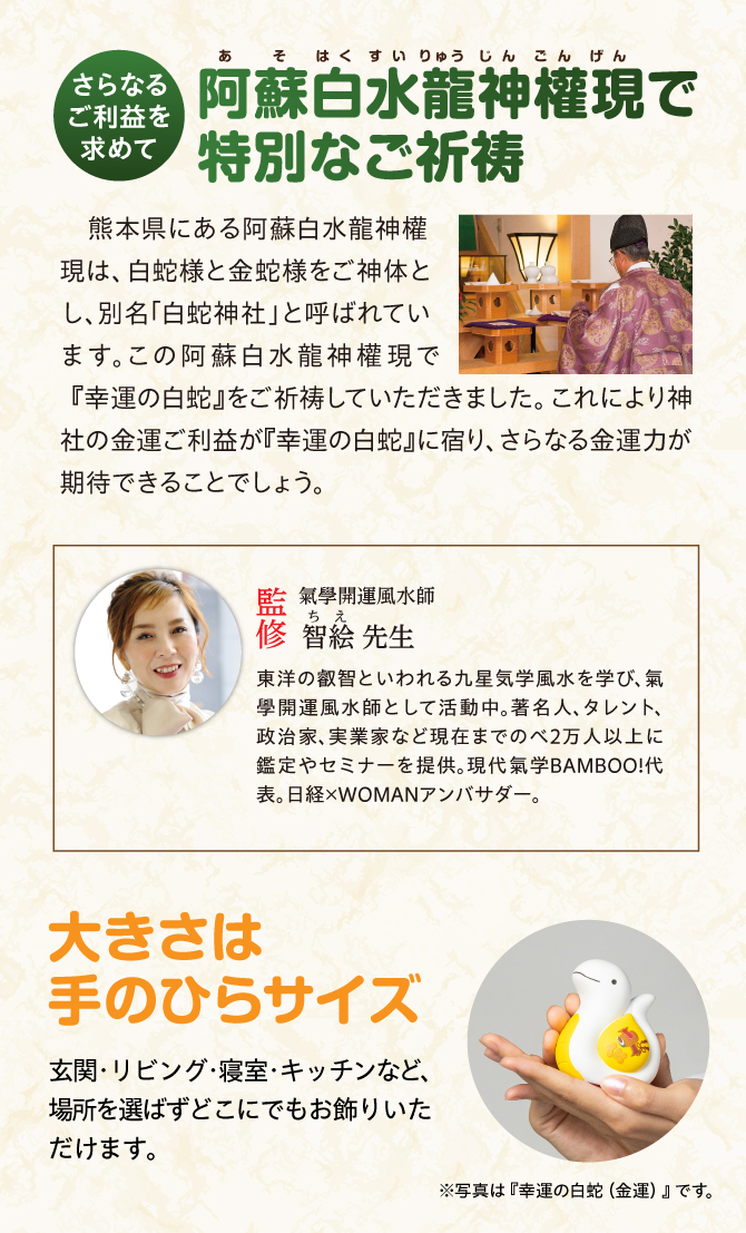 阿蘇白水龍神權現でにてご祈祷済み！大きさは手のひらサイズ
