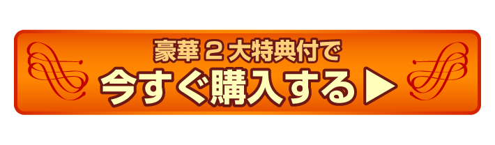 豪華2大特典付で今すぐ購入する