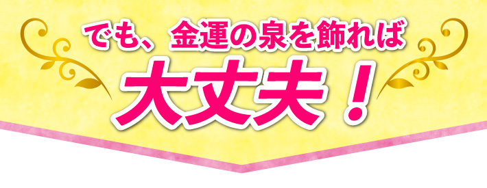 でも、金運の泉を飾れば大丈夫！