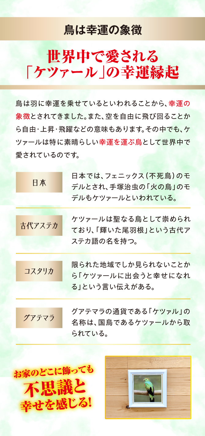 鳥は羽に幸運を乗せているといわれることから幸運の象徴といわれてきました。