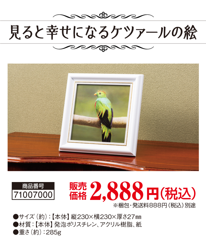 不思議と幸せを運んでくるという幻の鳥『ケツァール』の絵「見ると幸せになるケツァールの絵」