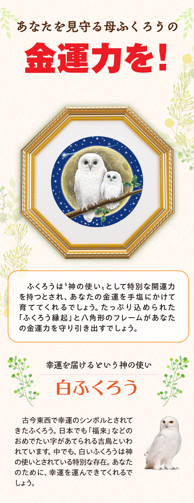 “ふくろう”があなたの金運の母に！白ふくろう・親子・満月
