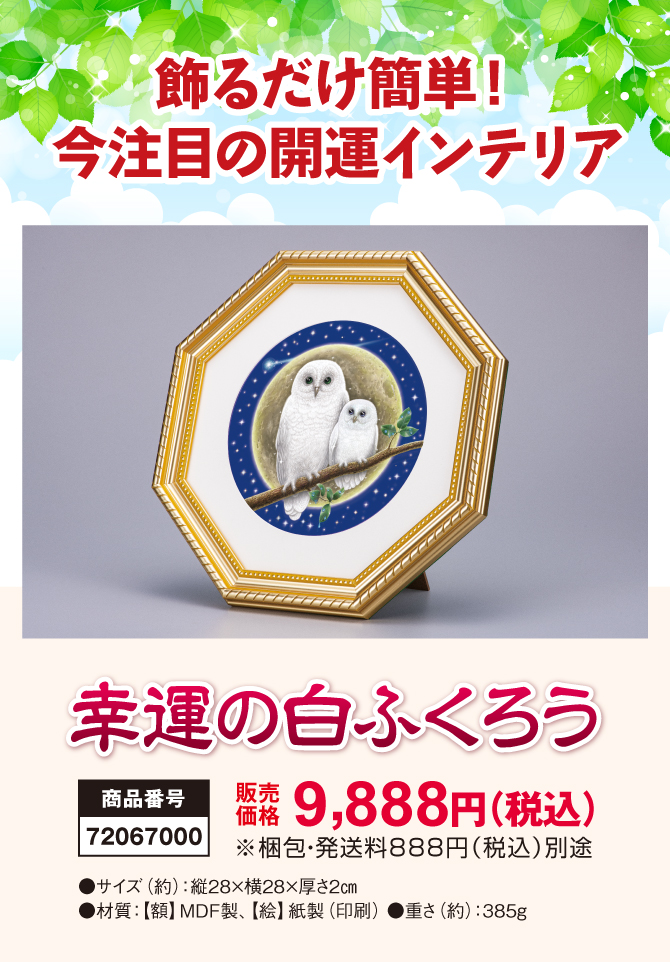 秋山勉唯絵先生が導き出した金運の極意“金運の母”ふくろうが金運招来をもたらすでしょう！幸運の白ふくろう