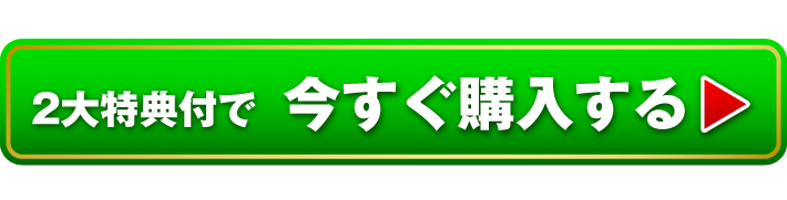 豪華2大特典付で今すぐ購入する