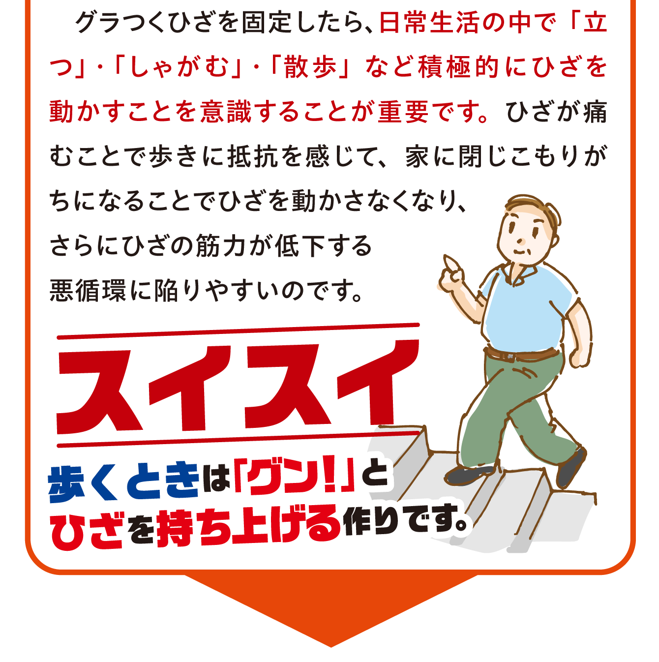 【歩くときは「グン！」とひざを持ち上げる作りです】グラつくひざを固定したら、日常生活の中で「立つ」・「しゃがむ」・「散歩」など積極的にひざを動かすことを意識することが重要です。ひざが痛むことで歩きに抵抗を感じて、家に閉じこもりがちになることでひざを動かさなくなり、さらにひざの筋力が低下する悪循環に陥りやすいのです。