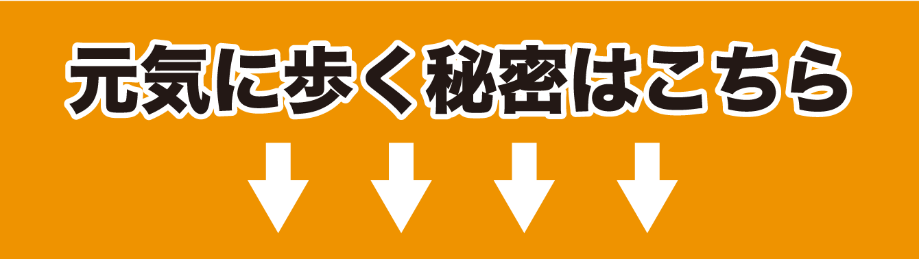 元気に歩く秘密はこちら