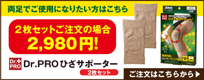 2枚セットはこちら